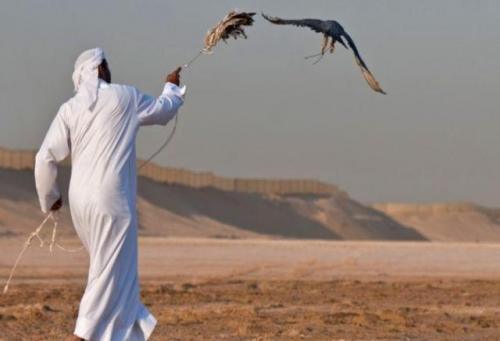 اختطاف قطريين في صحراء العراق